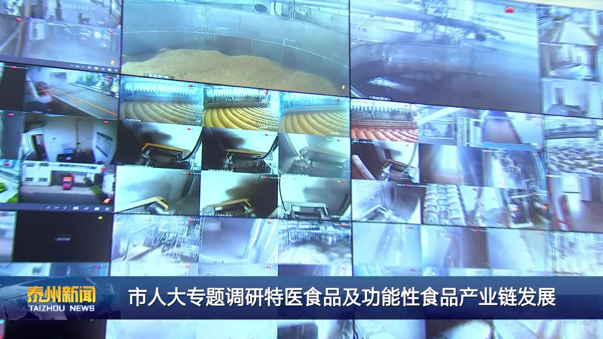 市人大专题调研特医食品及功能性食品产业链发展
